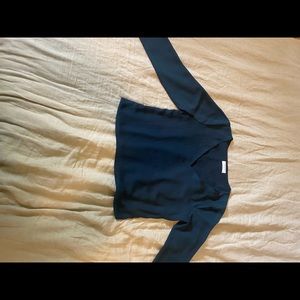 Aritzia Babaton Murphy Long Sleeve Blouse